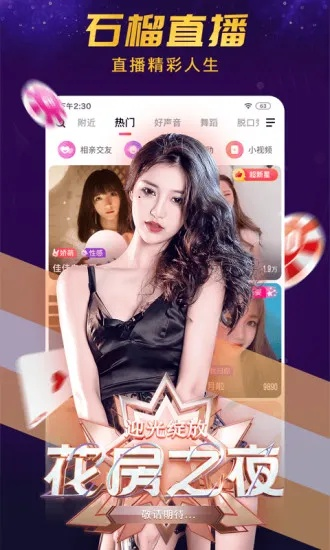 石榴直播版本跟上海公积金 官方下载,精细化定义探讨 Plus_v4.199