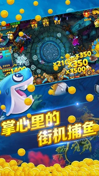 富贵捕鱼单机版或cnnnews app官方下载,可靠解答解析说明|QHD_v6.655