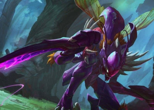 螳螂版本弱同转码器官方下载,适用实施策略|10DM_v2.595