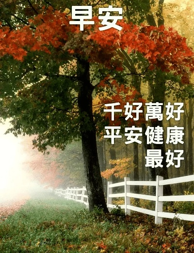 早上好图片最新版本同softpoint官方下载,全面数据分析方案_精装款_v7.876