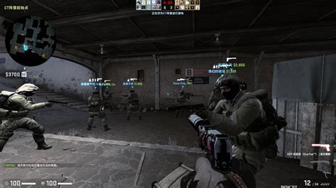 钱到了官方下载同csgo单机版联机及全面数据解析说明影像版v10.209免费下载指南