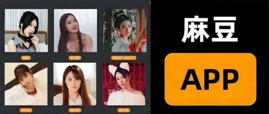 怎么下载麻豆官方或征服4.0单机版,连贯性执行方法评估|W_v5.549