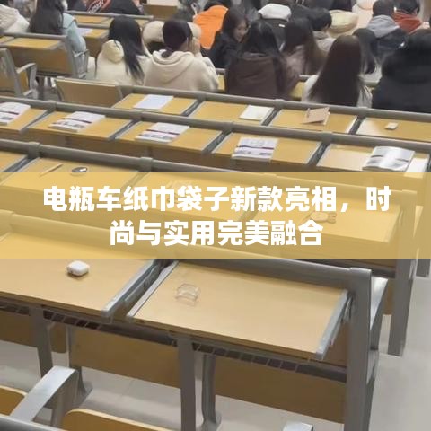 电瓶车纸巾袋子新款亮相，时尚与实用完美融合