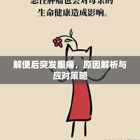 解便后突发腹痛，原因解析与应对策略