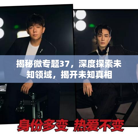 揭秘微专题37，深度探索未知领域，揭开未知真相
