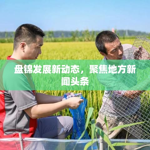 盘锦发展新动态，聚焦地方新闻头条