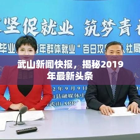 武山新闻快报，揭秘2019年最新头条
