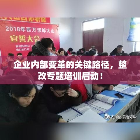 企业内部变革的关键路径，整改专题培训启动！