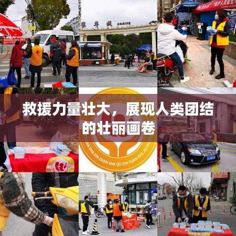 救援力量壮大，展现人类团结的壮丽画卷