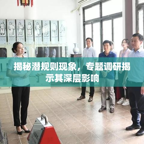 揭秘潜规则现象，专题调研揭示其深层影响
