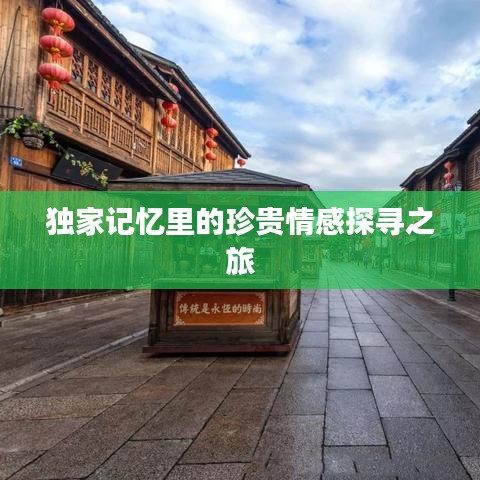 独家记忆里的珍贵情感探寻之旅