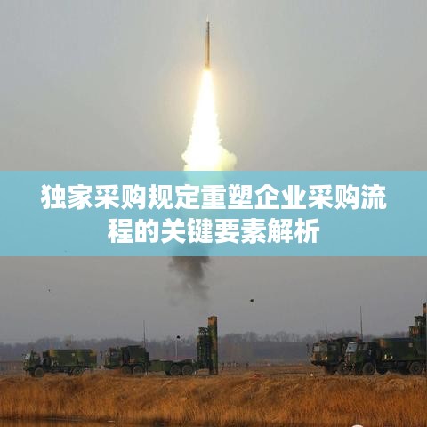 独家采购规定重塑企业采购流程的关键要素解析