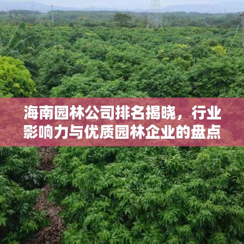 海南园林公司排名揭晓，行业影响力与优质园林企业的盘点