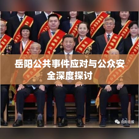 岳阳公共事件应对与公众安全深度探讨