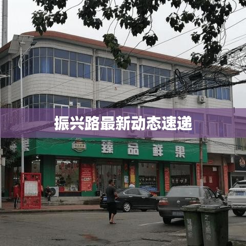 振兴路最新动态速递