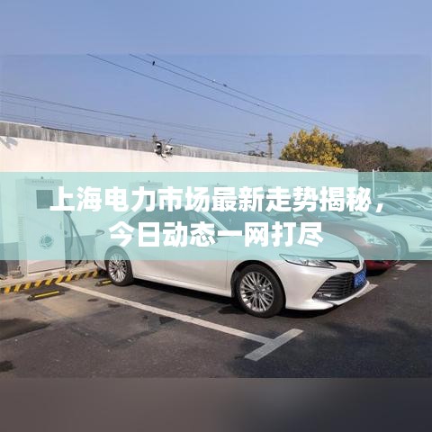上海电力市场最新走势揭秘，今日动态一网打尽