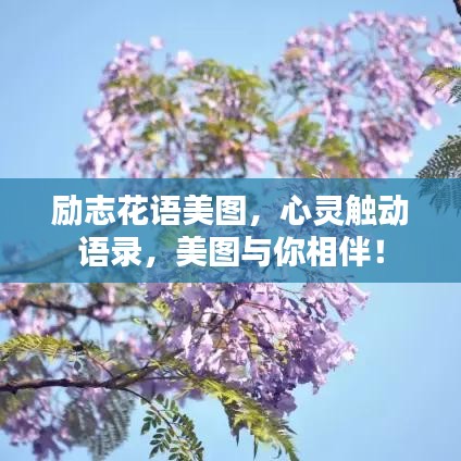 励志花语美图，心灵触动语录，美图与你相伴！