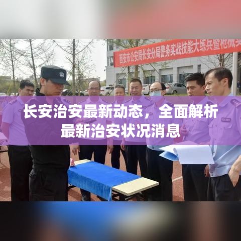 长安治安最新动态，全面解析最新治安状况消息
