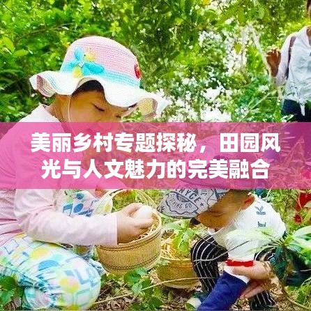 美丽乡村专题探秘，田园风光与人文魅力的完美融合