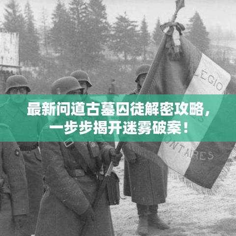 最新问道古墓囚徒解密攻略，一步步揭开迷雾破案！