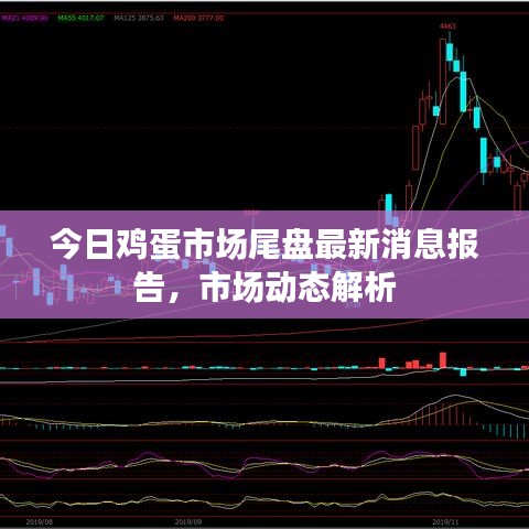今日鸡蛋市场尾盘最新消息报告，市场动态解析