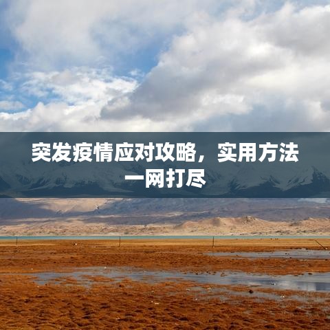 突发疫情应对攻略，实用方法一网打尽