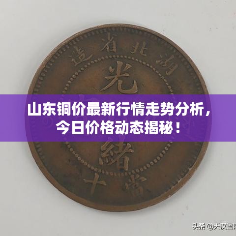 山东铜价最新行情走势分析，今日价格动态揭秘！