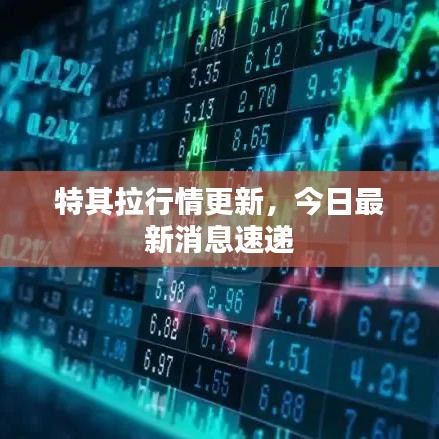 特其拉行情更新，今日最新消息速递