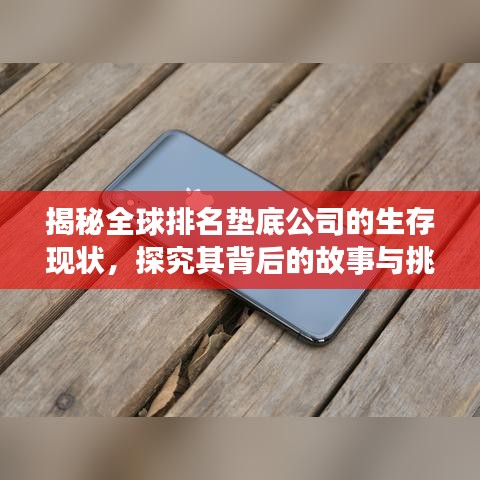 揭秘全球排名垫底公司的生存现状，探究其背后的故事与挑战