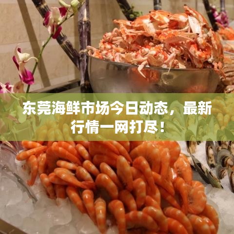 东莞海鲜市场今日动态，最新行情一网打尽！