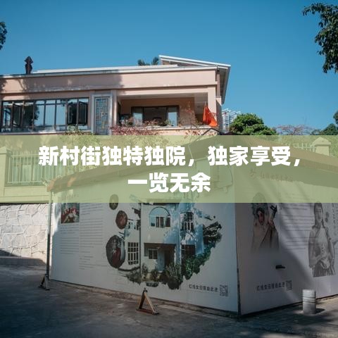 新村街独特独院，独家享受，一览无余