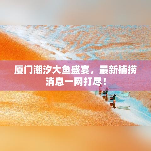 厦门潮汐大鱼盛宴，最新捕捞消息一网打尽！