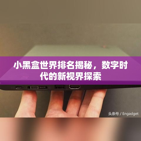 小黑盒世界排名揭秘，数字时代的新视界探索