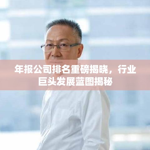 年报公司排名重磅揭晓，行业巨头发展蓝图揭秘