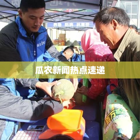 瓜农新闻热点速递