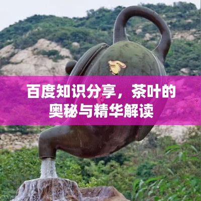 百度知识分享，茶叶的奥秘与精华解读