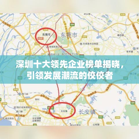 深圳十大领先企业榜单揭晓，引领发展潮流的佼佼者