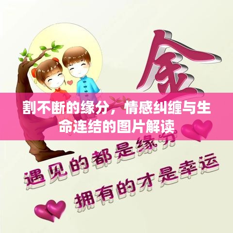 割不断的缘分，情感纠缠与生命连结的图片解读
