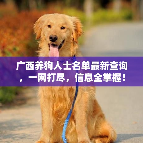 下载中心 第3页