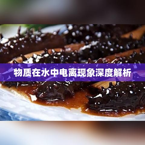 物质在水中电离现象深度解析