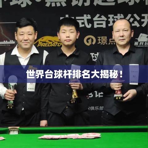 世界台球杆排名大揭秘！