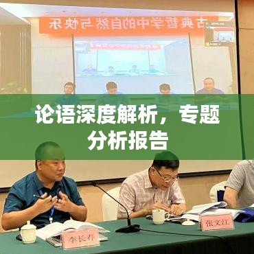 论语深度解析，专题分析报告