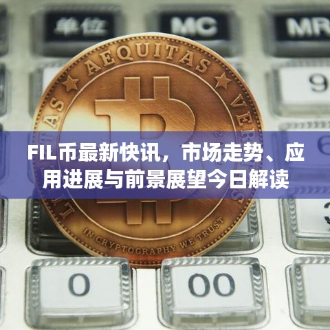 FIL币最新快讯，市场走势、应用进展与前景展望今日解读