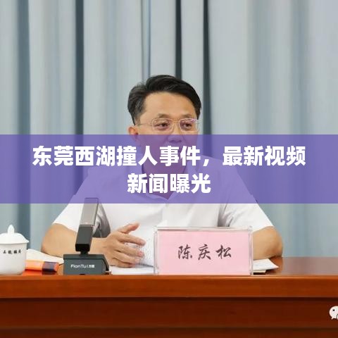 东莞西湖撞人事件，最新视频新闻曝光