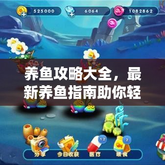 养鱼攻略大全，最新养鱼指南助你轻松成为养鱼达人！