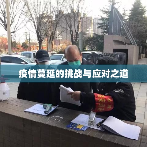 疫情蔓延的挑战与应对之道