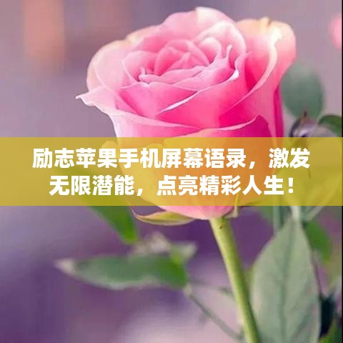 励志苹果手机屏幕语录，激发无限潜能，点亮精彩人生！