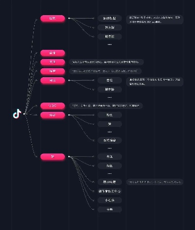 系统工具软件抖音历史版本，创新解析执行策略_入门版_v5.848，全面解析与应用指南