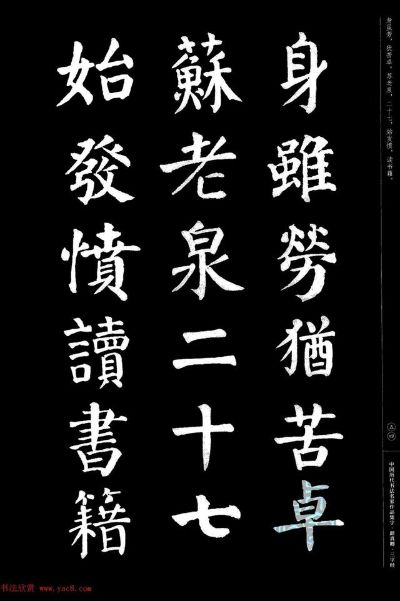 官方下载颜体,创新解析执行 尊享版_v9.820