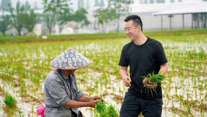 农民版本传奇，轻量级软件的典范与高效体验的追求